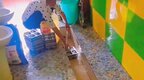 幼儿园将孩子餐盘放在便池冲洗？官方：正在核查网传信息