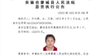 安徽一地法院发布悬赏执行公告！