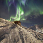 美轮美奂 俄罗斯男子拍下神秘的彩虹色北极光