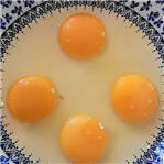 巨型鸡蛋4个蛋黄