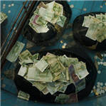 巨龟浑身堆满人民币