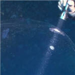 土耳其神秘巨型水泡