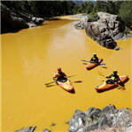 河流被金矿染色