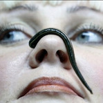 男子养水蛭当宠物