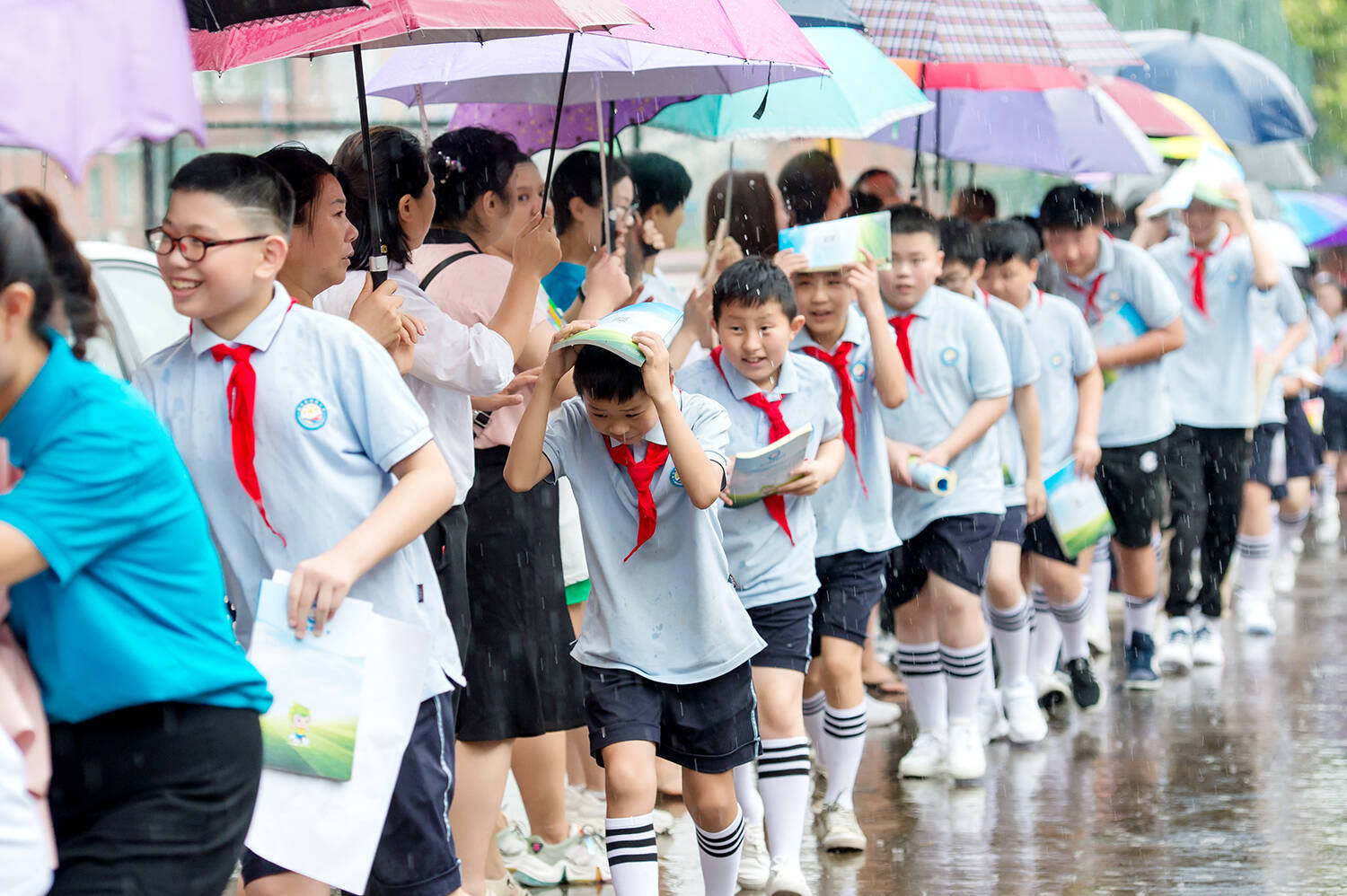以伞传情丨缙云县紫薇小学的伞下温情