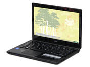 Acer E1-432-29552G50Dnkk