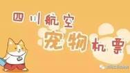 终于可以带宠物坐飞机了，川航3月将推出宠物机票！