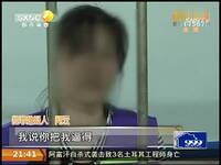 操逼逼–搜凤