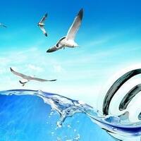 伊朗遭美国最强制裁!欧盟俄罗斯力挺伊朗,中国