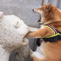 24日晚英格兰对阵小组倒数第二的巴拿马情报