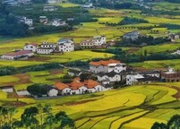 吕新华:政协不是权力机关 也非决策机构