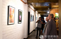 荷你有约！崇州市佛协开展教风建设荷花主题摄影展