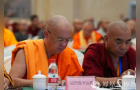 祜巴提卡达希：坚持我国宗教中国化的临沧探索与实践