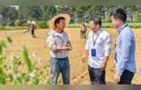 为这件事，中央纪委一年问责200多名“一把手”