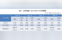 重庆科创板上市公司3家，仅占全国0.53％，四川以19家排全国第8