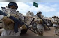 英媒称美国推动阿拉伯国家在加沙建立战后维和部队，3国正在考虑中