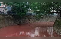 广东一河流变红，有鱼死亡，环保部门回应