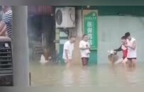 桂林遭遇26年来最大暴雨，女店员药店内不幸遇难，积水深80厘米