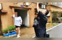 天降猫咪砸伤女子，法院调解猫主人赔偿12000元