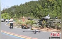 竹筍乘“輕軌”竹子坐“飛機” 江西銅鼓筍竹產(chǎn)業(yè)走上“快車道”