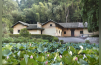 全国最下饭的小城，装下半部湘菜史