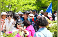 图集丨长春牡丹园小满竞芳华