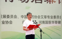 世界艾之鄉(xiāng)，采收萬里香！2025第六屆道地“南陽艾”采收節(jié)暨非遺艾絨天年行動啟幕