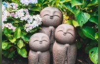 镰仓的初夏属于紫阳花，6月限定的浪漫都藏在细雨里
