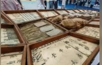 “春碗”、夏布繡……江西2000余件文化精品閃耀深圳文博會(huì)