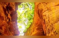 從破產(chǎn)重整到年入近億！這一景區(qū)為何能成功“逆襲”,？