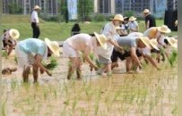 南昌市九洲公園明日正式開園 打造復(fù)合型城市綠洲