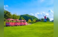 旅居欒川，盡享21℃涼夏