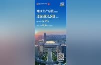 数读2025河南经济“半年报”