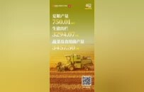 数读2025河南经济“半年报”