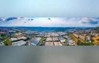 38个项目携289亿抢滩“枢纽之城”，重庆江津以“三零”服务厚植投资沃土