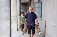 萍鄉一女士買下31只土雞 幫助高齡夫婦替亡子還債