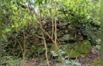 （抗戰勝利80周年）走進日軍眼中的“地獄谷”萬家嶺 抗戰遺址探尋“歷史碎片”
