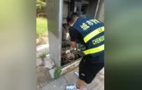 漯河：路燈提亮升級 扮靚城市更節(jié)能