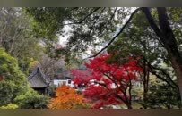 上海人最爱去的秋游胜地，省一大笔“沪币”