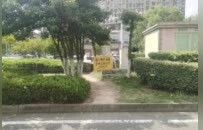 行人橫穿馬路好危險 景德鎮一道路三處“路口”被重點管控