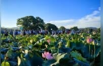 這場“叫好又叫座”的盛會，給廣昌留下了什么？