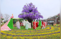 21℃的夏天落幕，欒川的故事還在繼續！