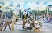 21℃的夏天落幕，欒川的故事還在繼續！