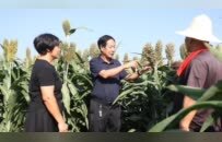 史則民：豫東漢子書寫農(nóng)業(yè)聚變傳奇