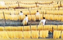 豫見(jiàn)地標(biāo)風(fēng)物丨一條鏈串起紅薯“七十二變”