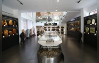 藏石為魂 以木傳情：奇石與木作勾勒鄉村振興“文化民宿”答卷