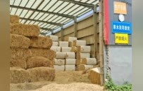 秸”盡所能！河南發文讓廢秸稈變身“金寶貝”