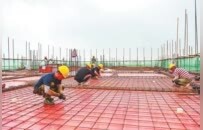 秸”盡所能！河南發文讓廢秸稈變身“金寶貝”