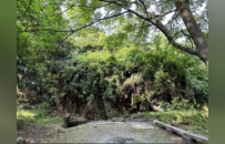 海宁峡石山碧云寺 | 吴越黄檗踪迹