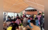 這就是“老家”的寵客之道！河南景區服務力拉滿